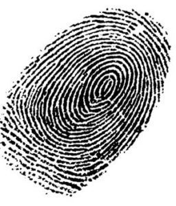 Fingerprints used in Fail to Remain cases